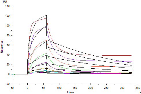 IL-6 Protein, Human