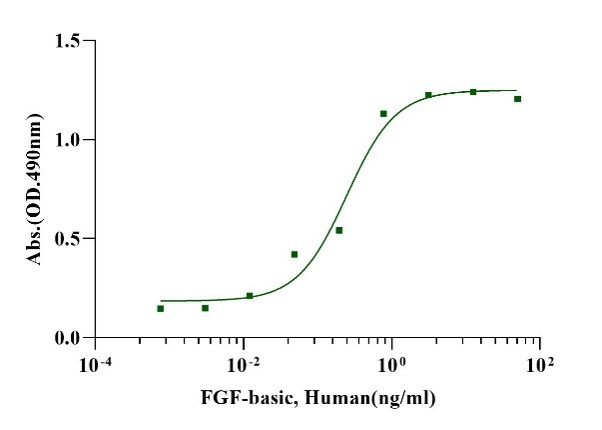 Recombinant Human FGF-basic (154aa) Protein