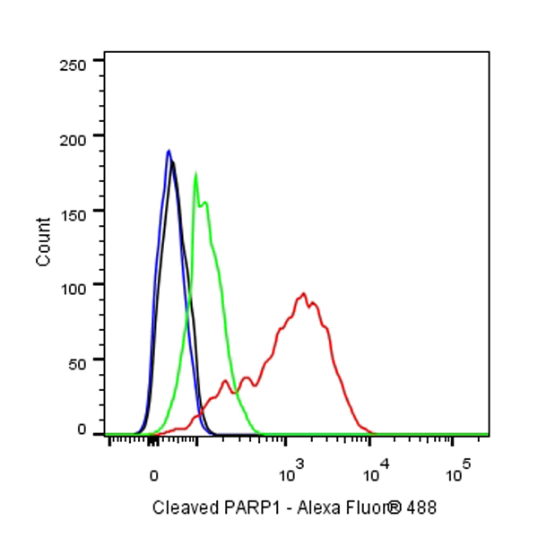 Cleaved PARP1 Recombinant Rabbit mAb,PBS Only (SDT-R084)