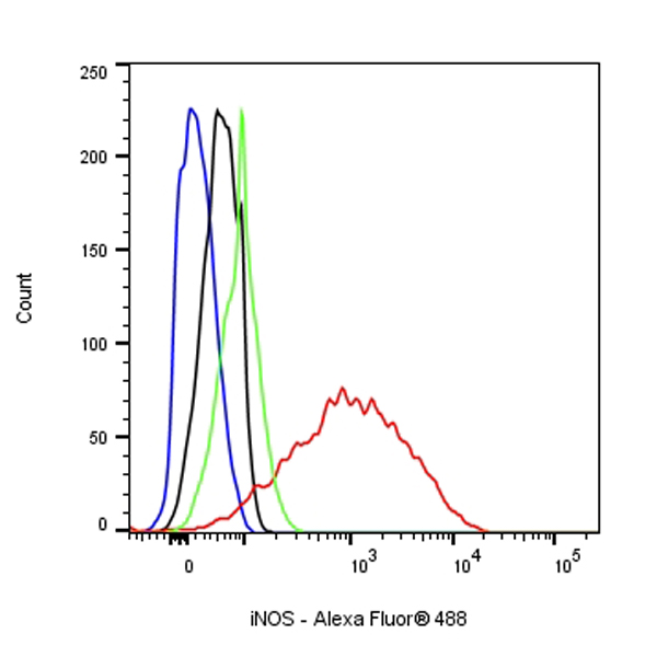 iNOS Recombinant Rabbit mAb (S-466-102)