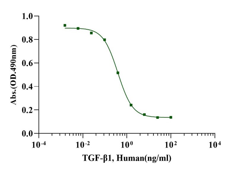 Recombinant Human TGF-β1 Protein