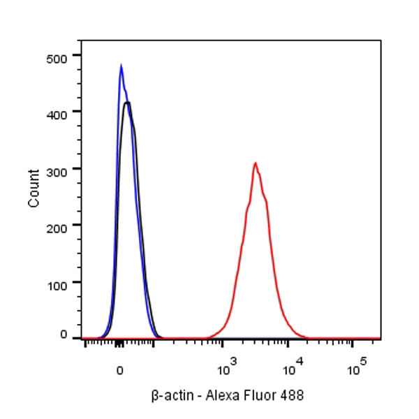 β-actin Recombinant Rabbit mAb (SDT-R156)