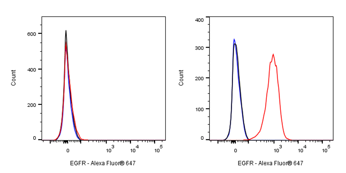 Anti-EGFR Monoclonal Antibody(Cetuximab)