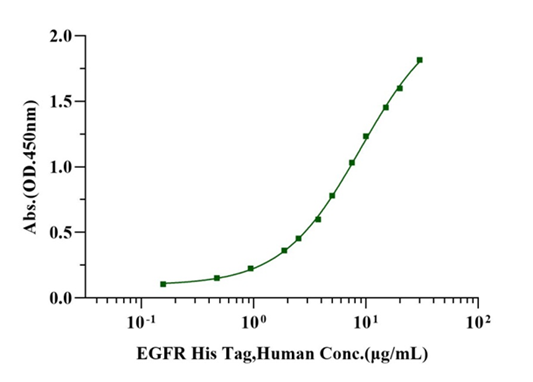 EGFR His Tag Protein, Human