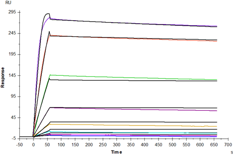 TNF-α Protein, Mouse