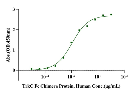 NT-3 Protein, Human