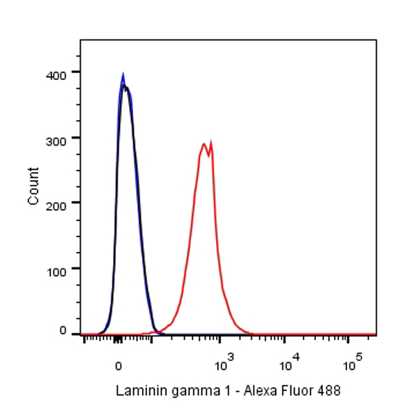 Goat anti-Rabbit IgG(H+L) (Alexa Fluor® 488 Conjugate)