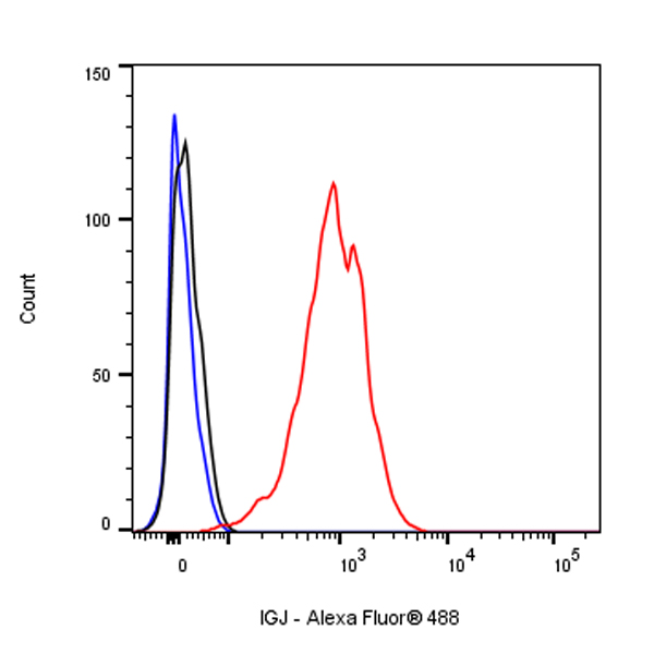 IGJ Recombinant Rabbit mAb (SDT-R128)