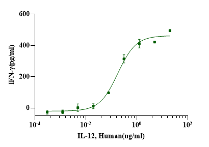 IL-12 Protein, Human