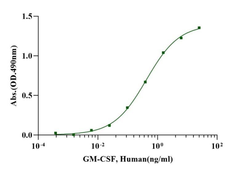 GM-CSF Protein, Human