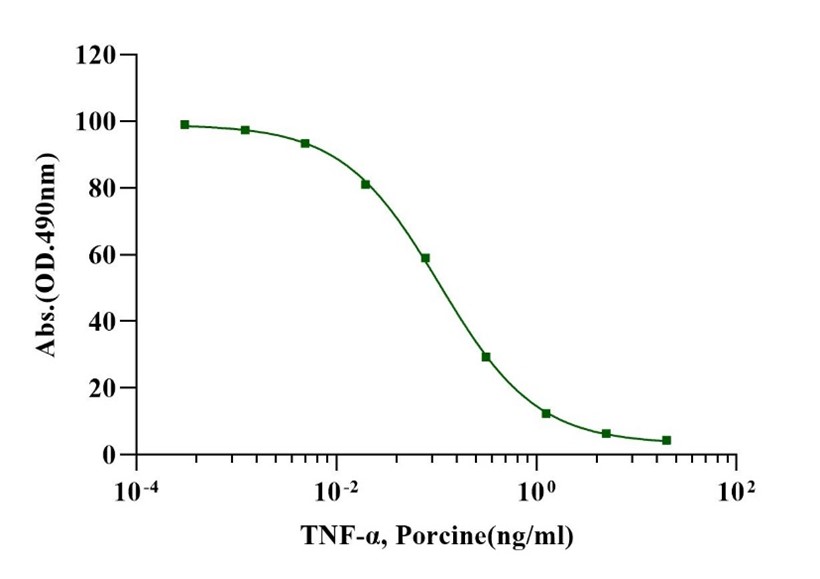 TNF-α Protein, Porcine