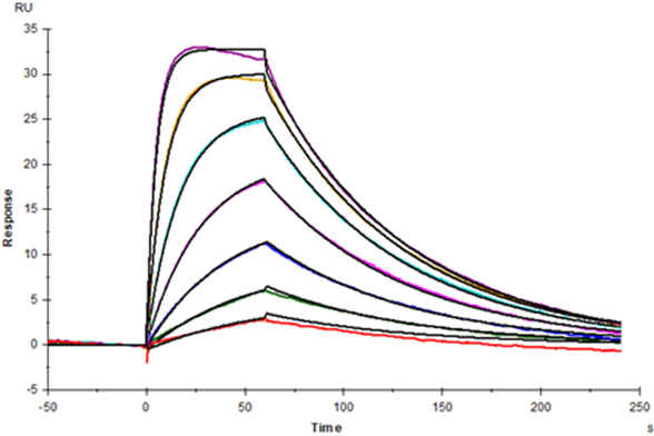 IL-15 Protein, Human