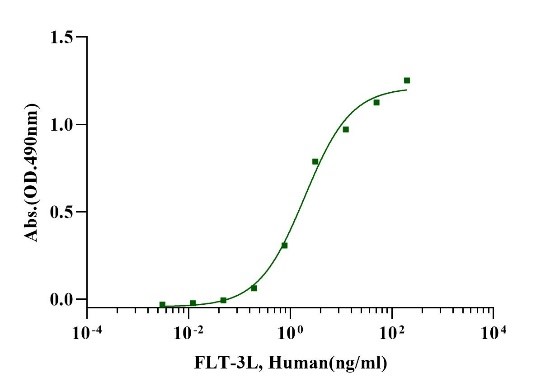 Recombinant Human FLT-3L Protein