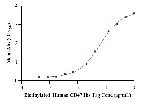Biotinylated CD47 His Tag Protein, Human