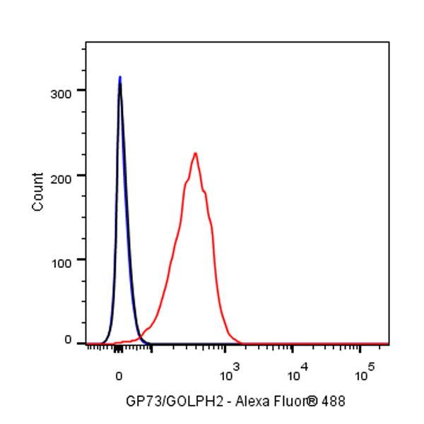 GP73/GOLPH2 Recombinant Rabbit mAb (SDT-231-102)