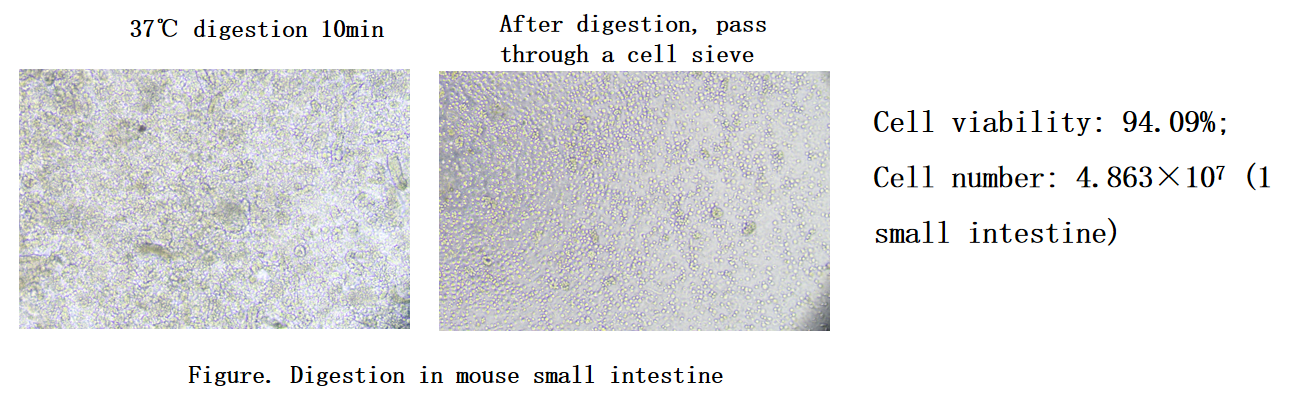 item.picture[0].fileOrgName