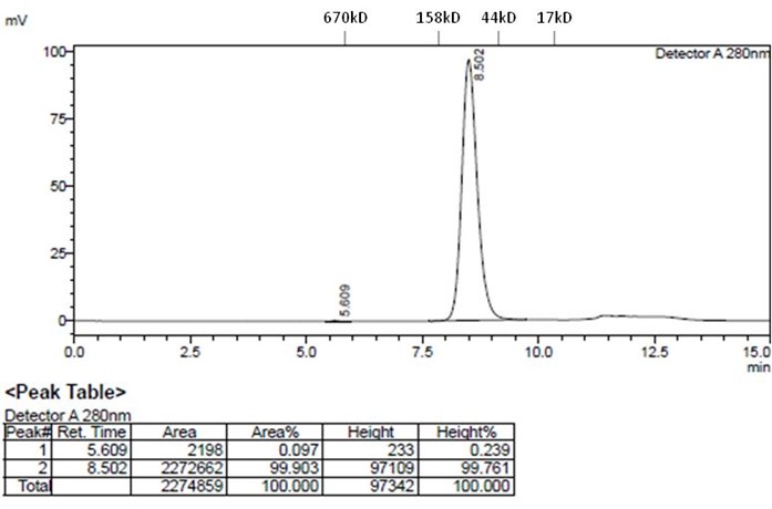 Monoclonal Anti-DM-1&DM-4 Antibody