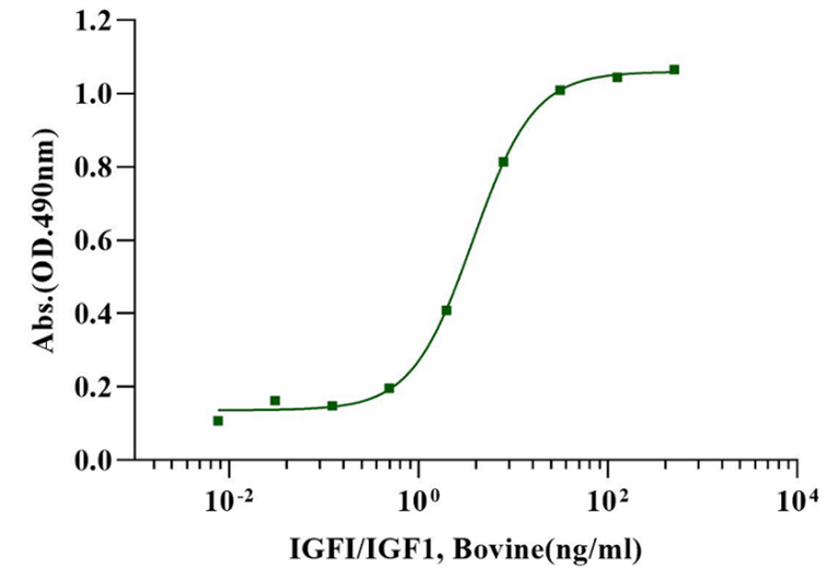 IGF-I Protein, Bovine