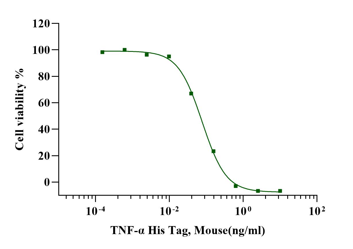 TNF-α Protein, Mouse