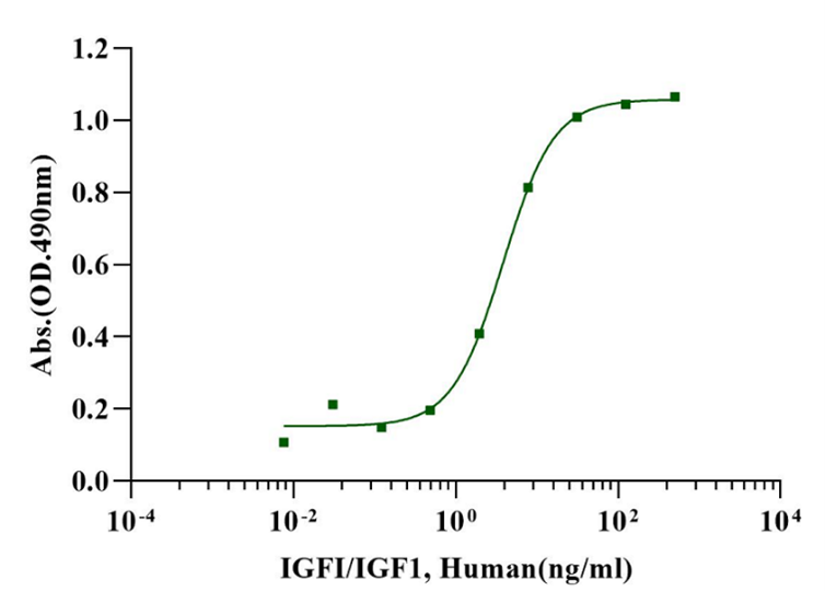 IGF-I Protein, Human