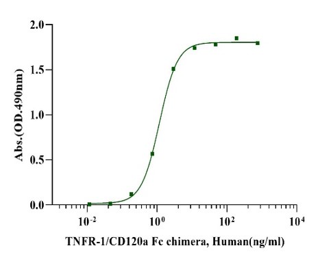 TNFR-1/CD120a Protein, Human