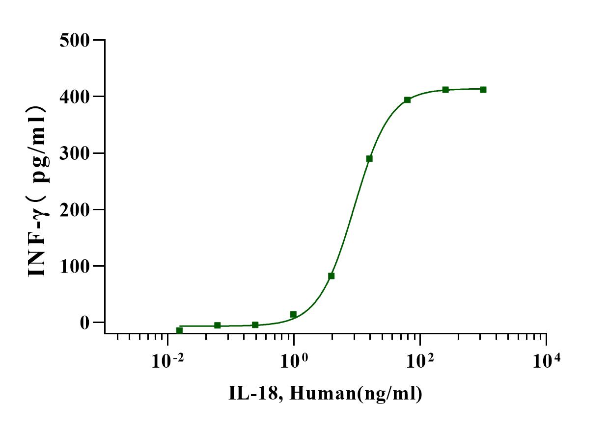 IL-18 Protein, Human