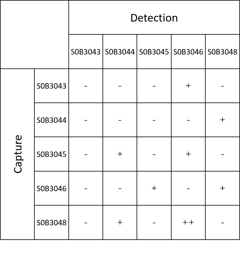 IGFBP3 Recombinant Rabbit  mAb (SDT-086-109)
