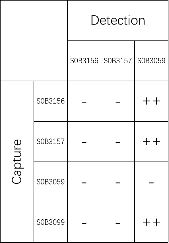 Tau (phospho T181) Mouse mAb (SDT-200-9)