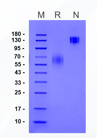 item.picture[0].fileOrgName