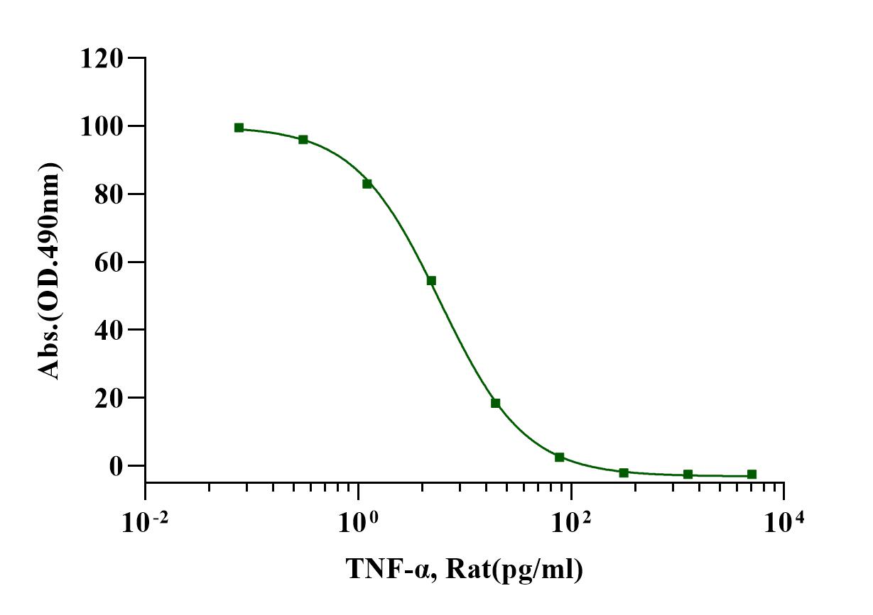 TNF-α Protein, Rat