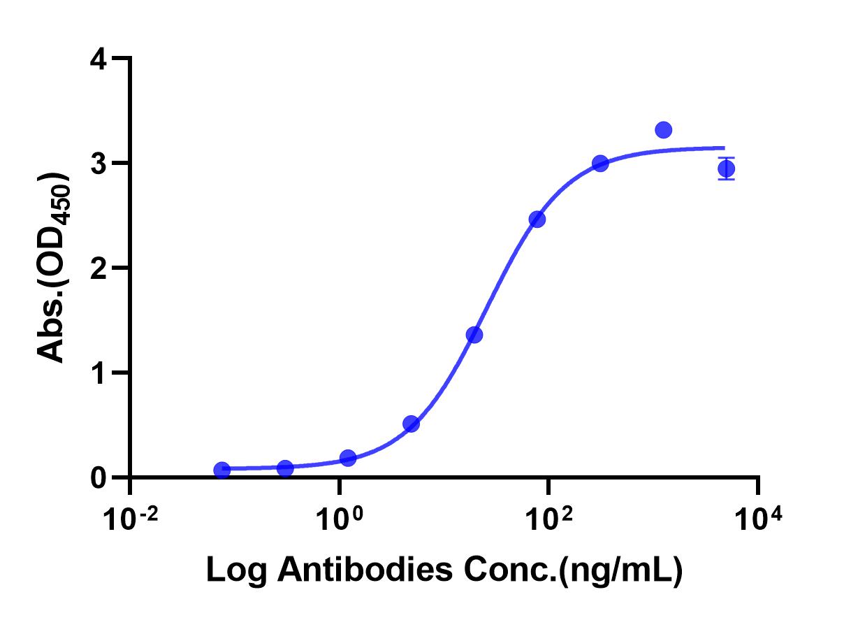 Anti-HER2 Monoclonal Antibody(Trastuzumab)