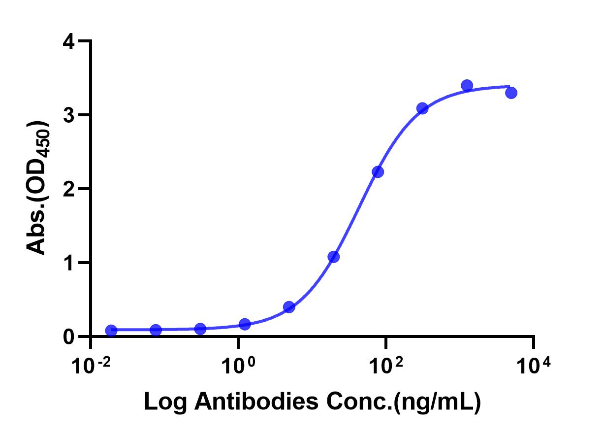 Anti-IL-17A Monoclonal Antibody(Secukinumab)