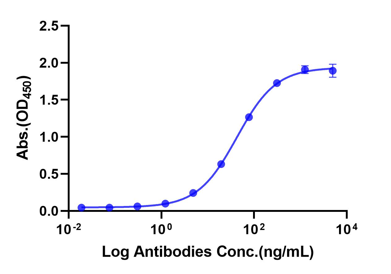 Anti-LAG-3 Monoclonal Antibody(Relatlimab)