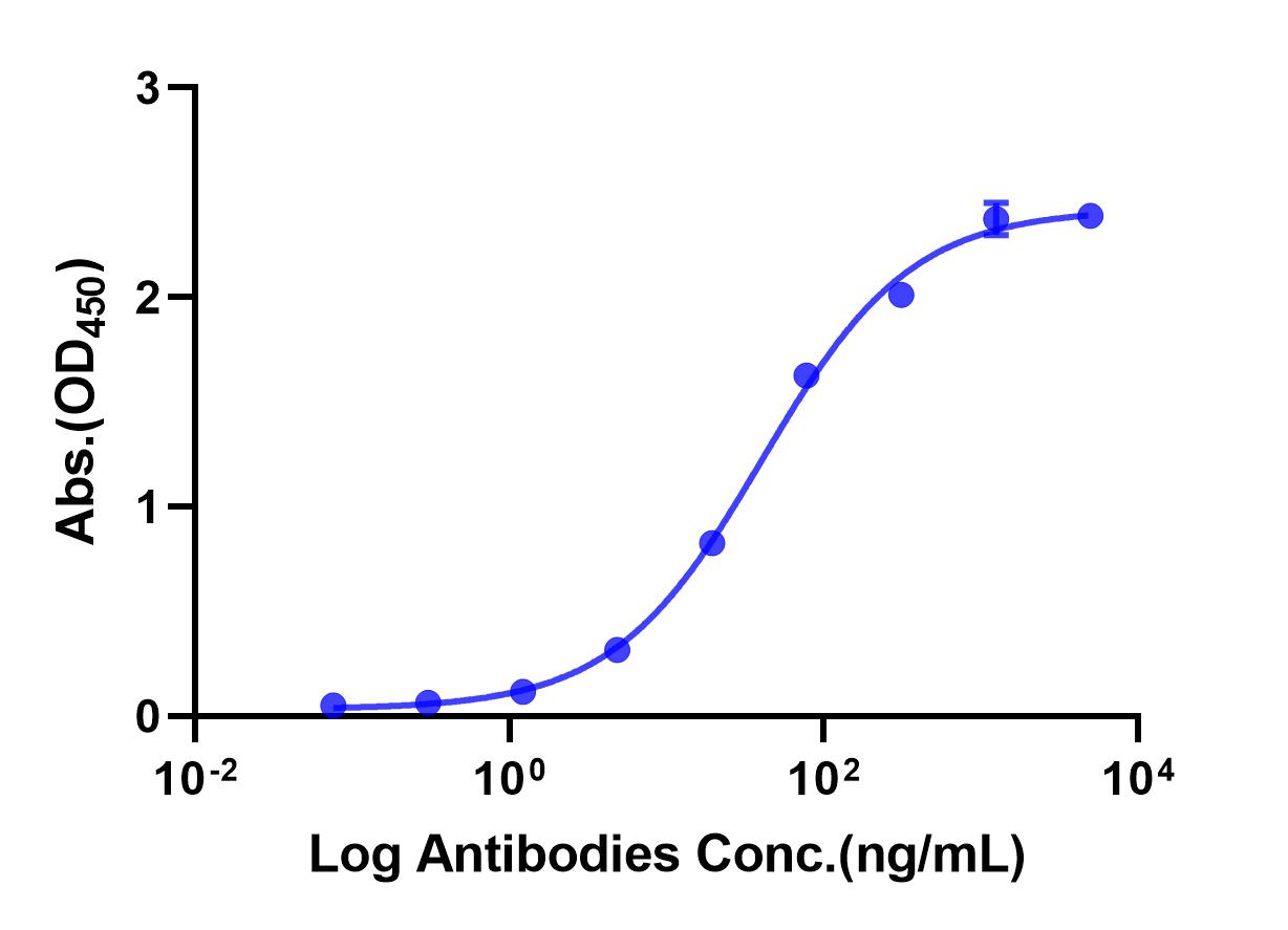 Anti-HER2 Monoclonal Antibody(Pertuzumab)