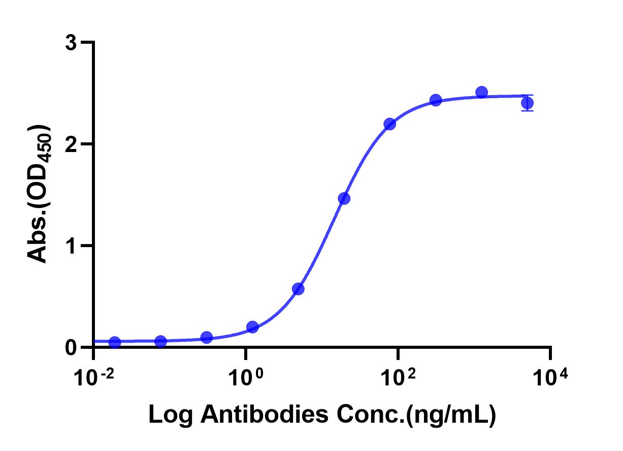 Anti-CTLA4 Monoclonal Antibody(Ipilimumab)