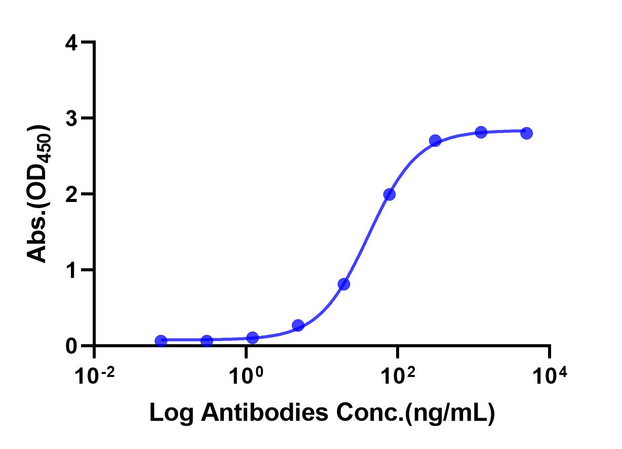 Anti-PD-L1 Monoclonal Antibody(Durvalumab)