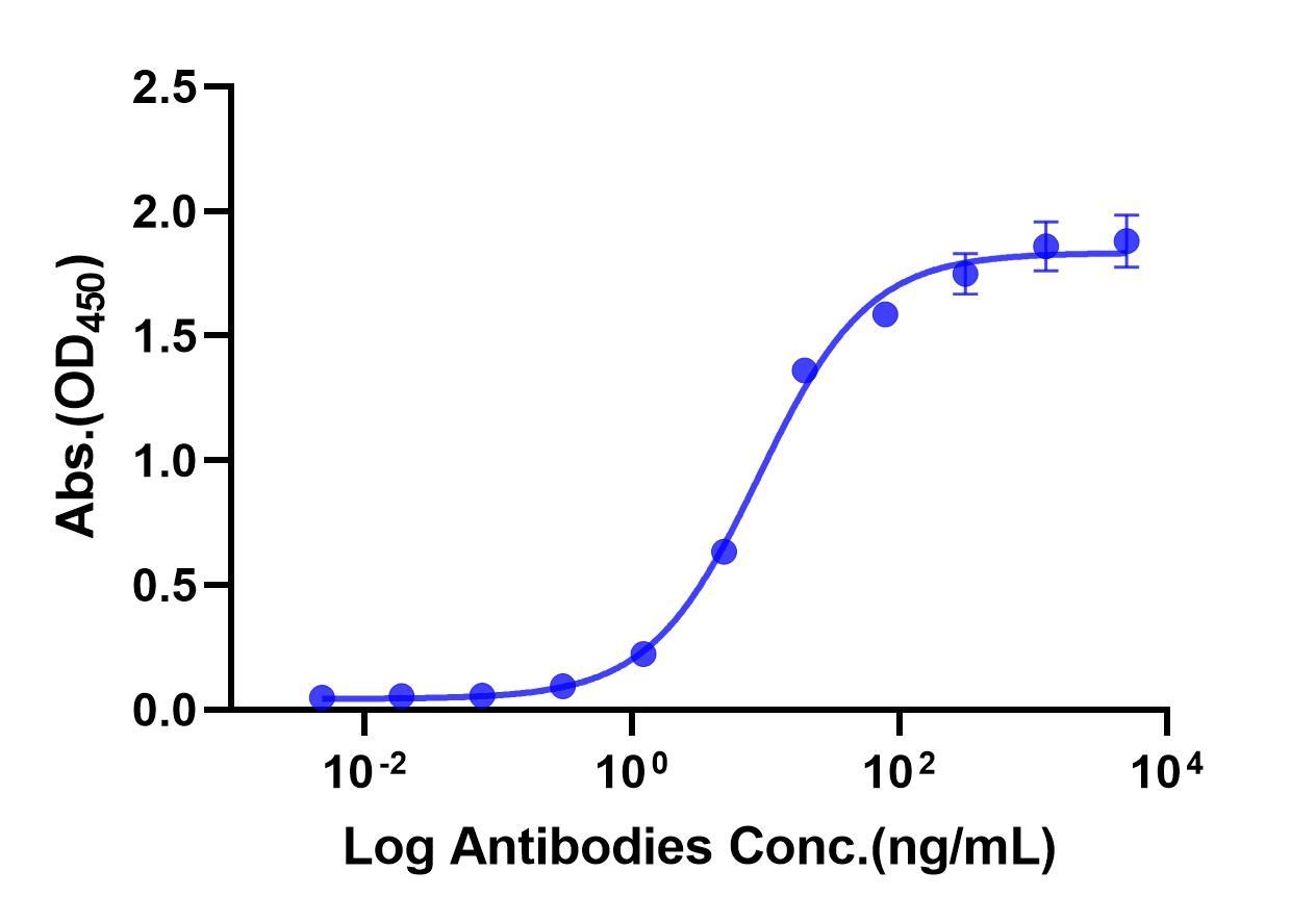 Anti-EGFR Monoclonal Antibody(Cetuximab)