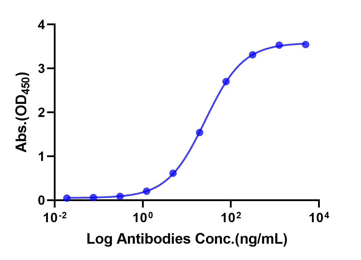 Anti-VEGF Monoclonal Antibody(Bevacizumab)
