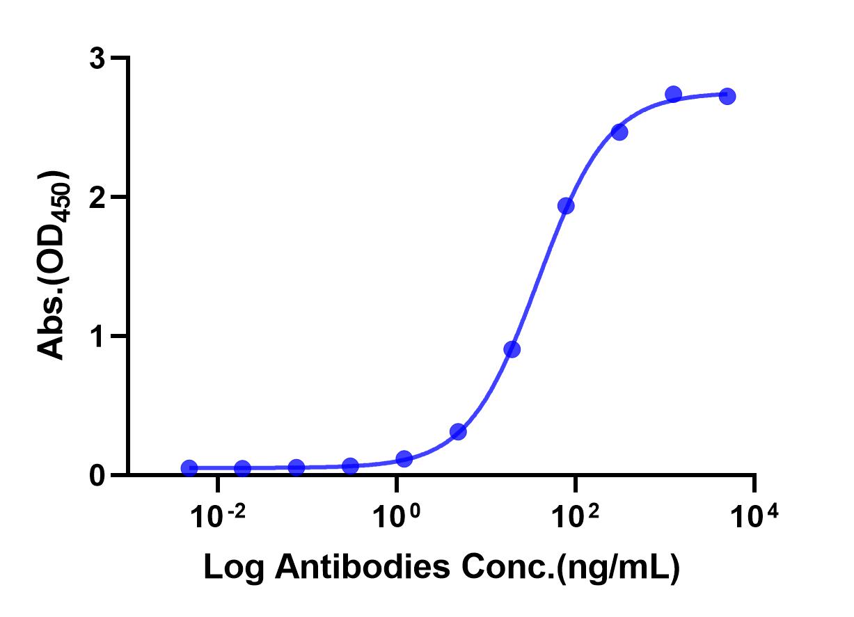 Anti-PD-L1 Monoclonal Antibody(Avelumab)