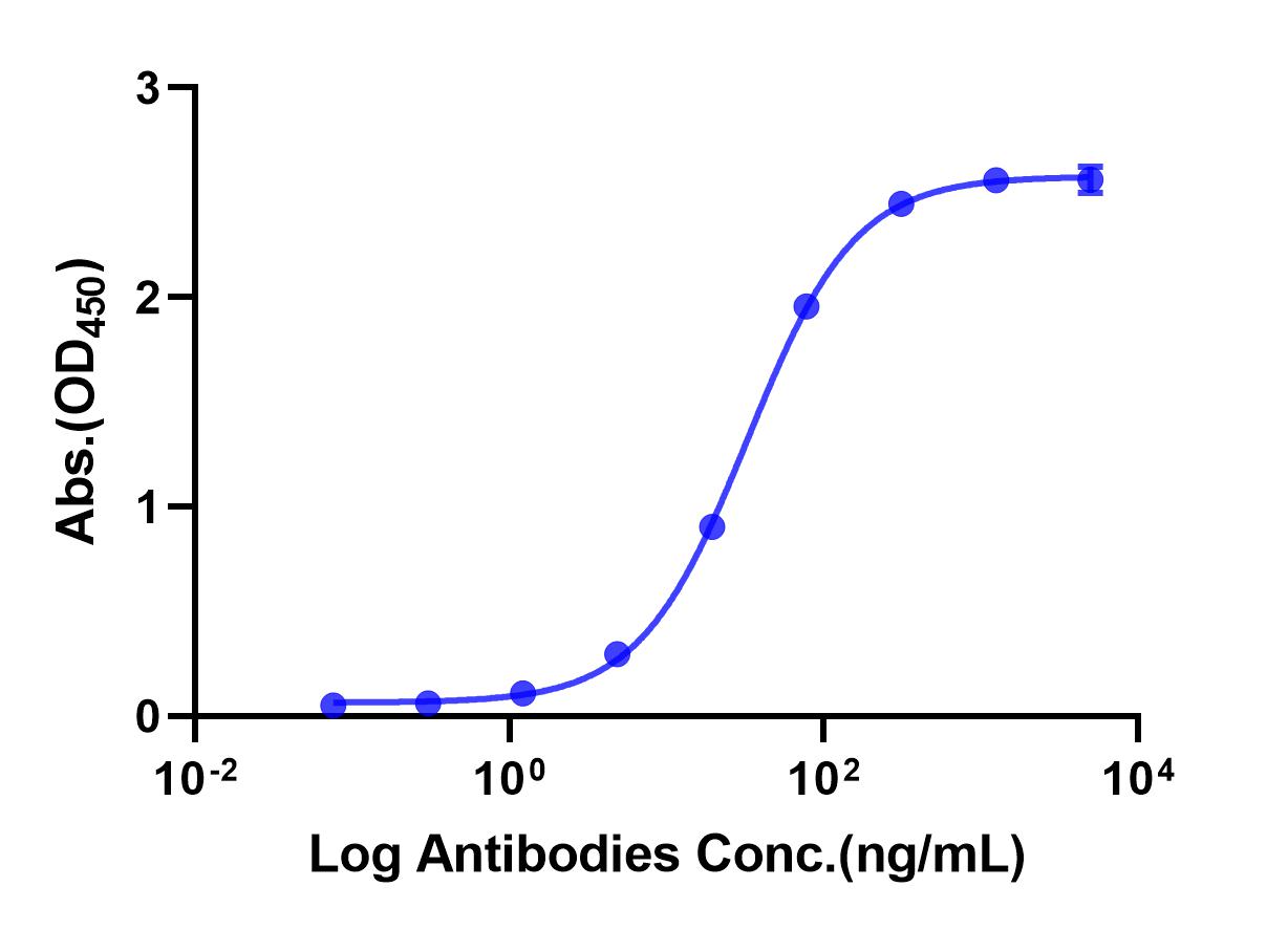 Anti-PD-L1 Monoclonal Antibody(Atezolizumab)