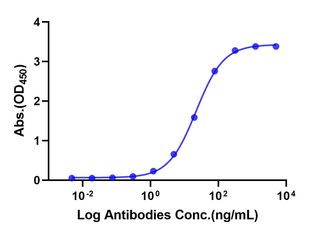 Anti-TNF-α Monoclonal Antibody(Adalimumab)