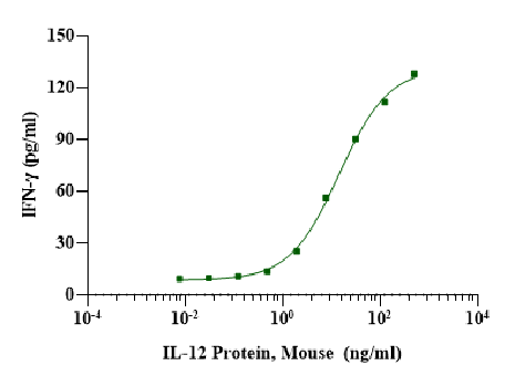 IL-12 Protein,Mouse