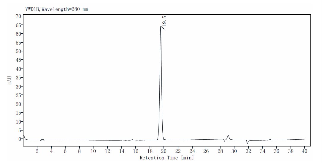 VZVgE Flag Tag Protein