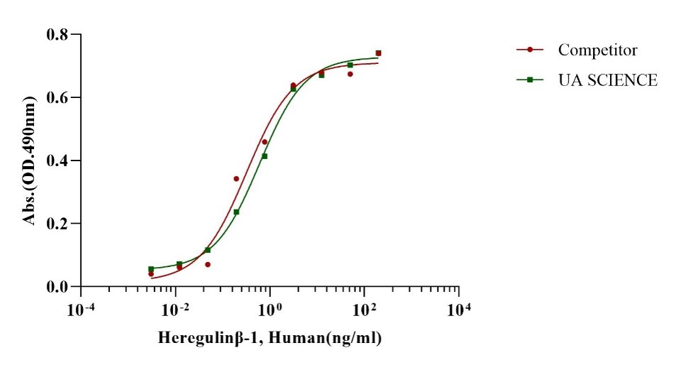 NRG1/Heregulin-β1 Protein, Human