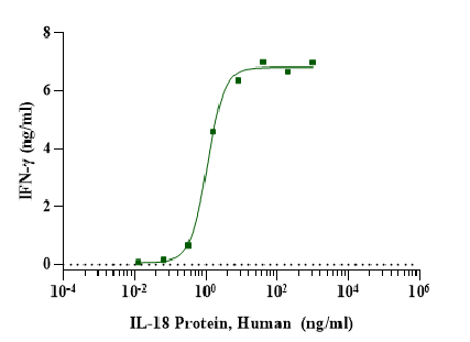 IL-18 Protein, Human