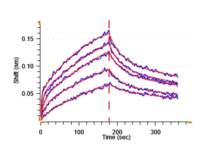 Recombinant Human ErbB3 / HER3 protein (Fc Chimera) (Active)