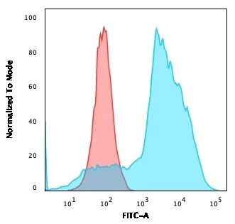 Anti-CD134 / OX40L receptor antibody [OX40/3108]