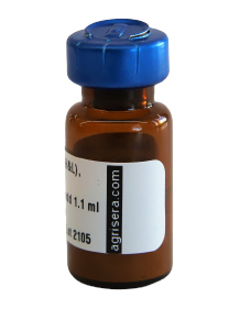 Goat anti-Mouse IgG (H&L), F(ab)‘2 fragment, Affinity purified, Unconjugated, min, cross-reactivity to human IgG/serum