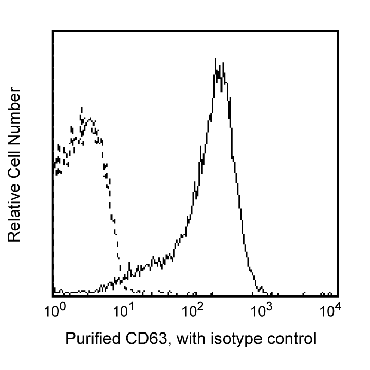 Purified Mouse Anti-Human CD63(H5C6)