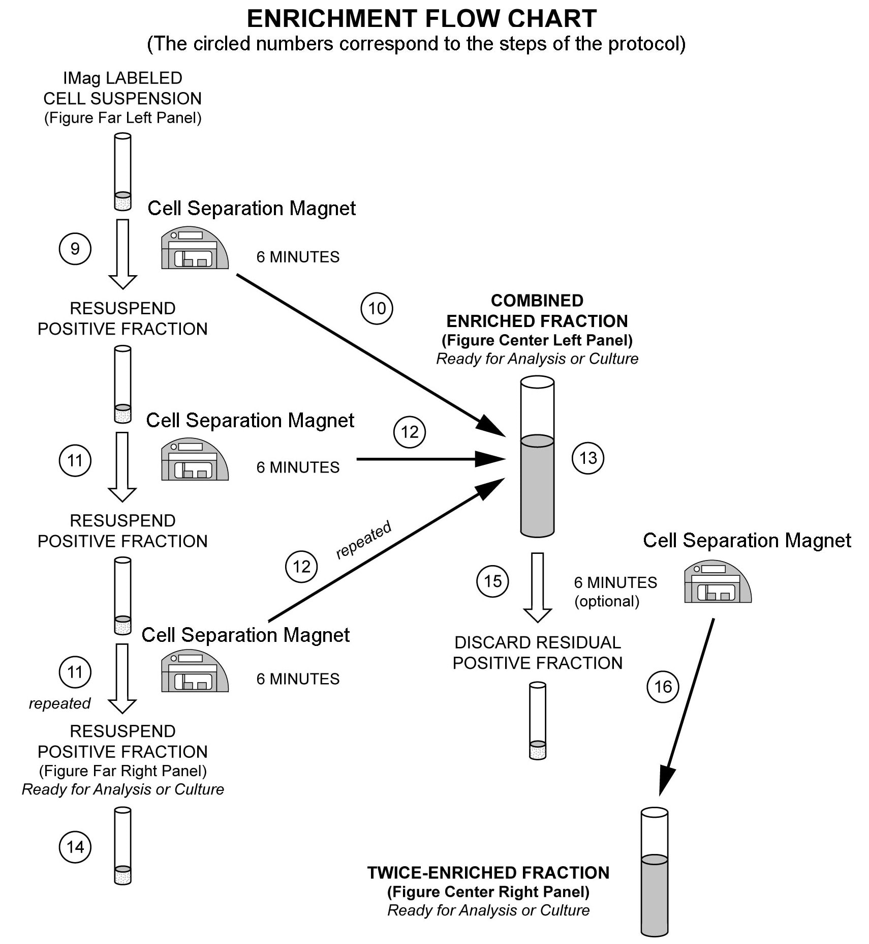 Mouse CD4 T Lymphocyte Enrichment Set - DM